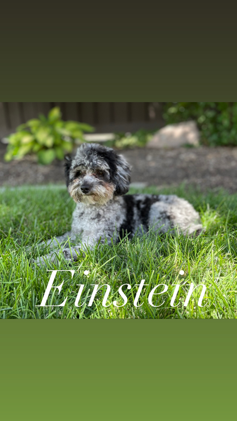 Einstein